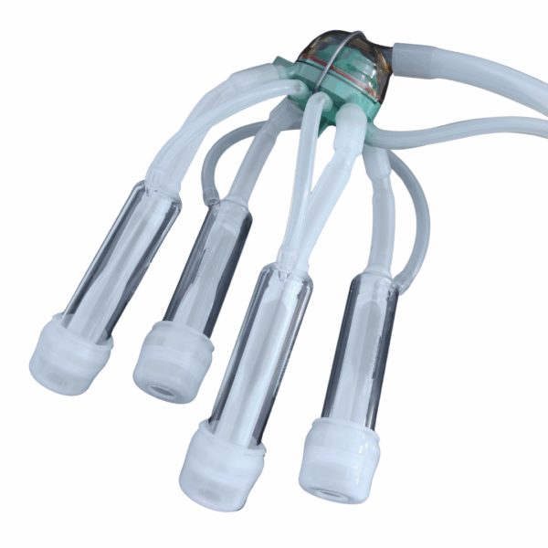 A cluster of four Silclear silicone dairy milking liners